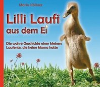 Lilli_Laufi_Cover.jpg