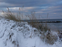 Deich und Strand.jpg