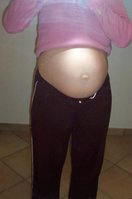 bauch34+2_2.JPG